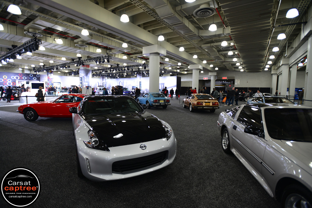 D8E_5815 copy.jpg